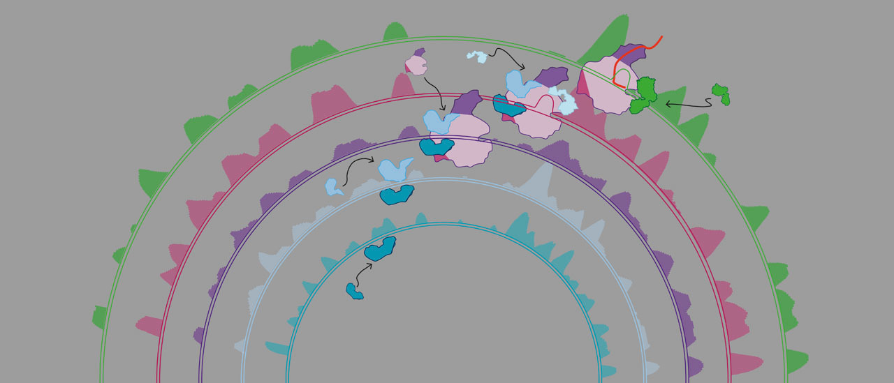 Fundamental biological processes from extremes